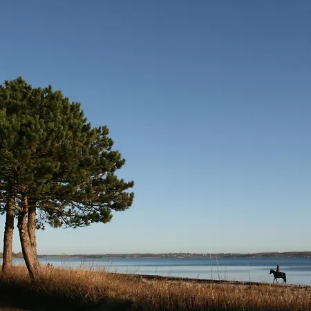 ホテル Ostsee-strandhaus-holnis グリュックスブルク