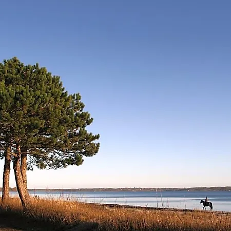 Hotel Ostsee-strandhaus-holnis Glücksburg