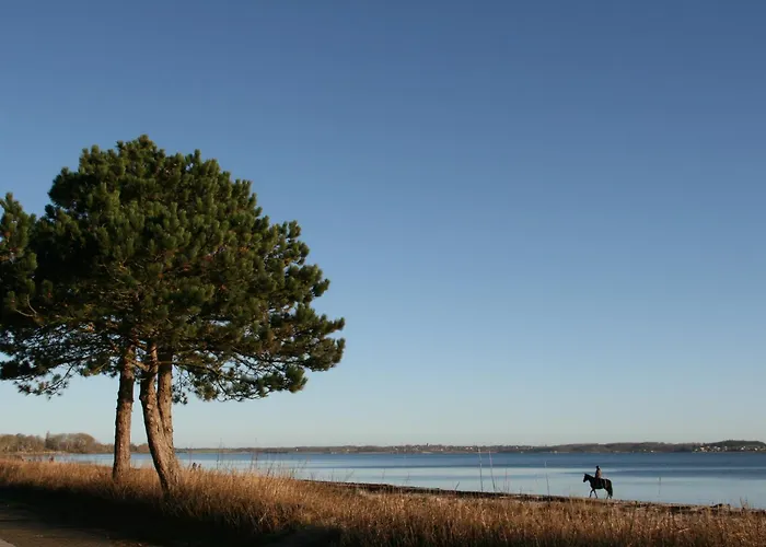 Hotel Ostsee-strandhaus-holnis Lyksborg